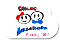 Güleç anaokulu bursa